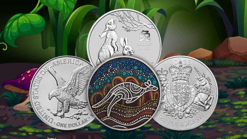 Best Silver Coins to Buy by Weight Categories