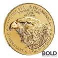 2023 1 oz American Gold Eagle Tube (20 Coins, BU)