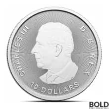 2024 2 oz Canada Ice Age Woolly Mammoth Silver Coin (BU)