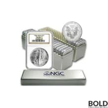 1986-2024 American Silver Eagle 40-Coin Set NGC MS69 (Type 1 & 2)