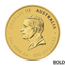 2025 2 oz Perth Lunar Year of the Snake Gold Coin (BU)