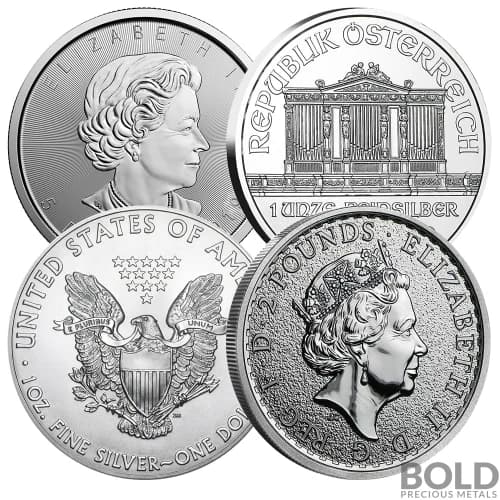 Silver 1 oz Government Issued Bullion Coin *Random Design*