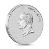 2026 1/2 oz Perth Lunar Year of the Horse Silver Coin (BU)